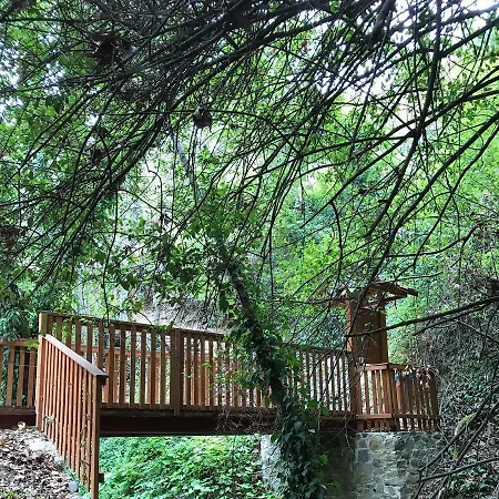 Gold Mountain House Feriehus