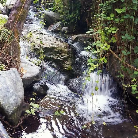 Gold Mountain House بيت للعطل Moutoullas