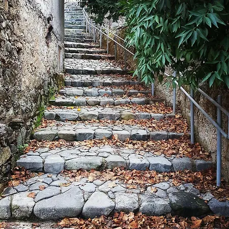 Gold Mountain House *