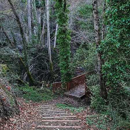 بيت للعطل Gold Mountain House *