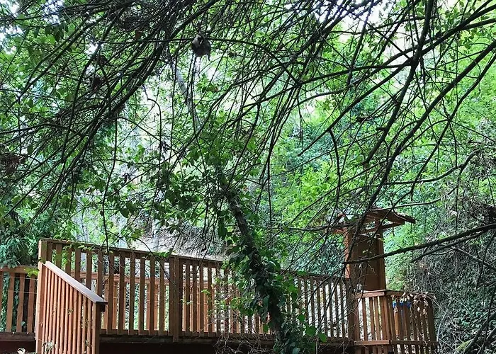 Gold Mountain House Σπίτι διακοπών