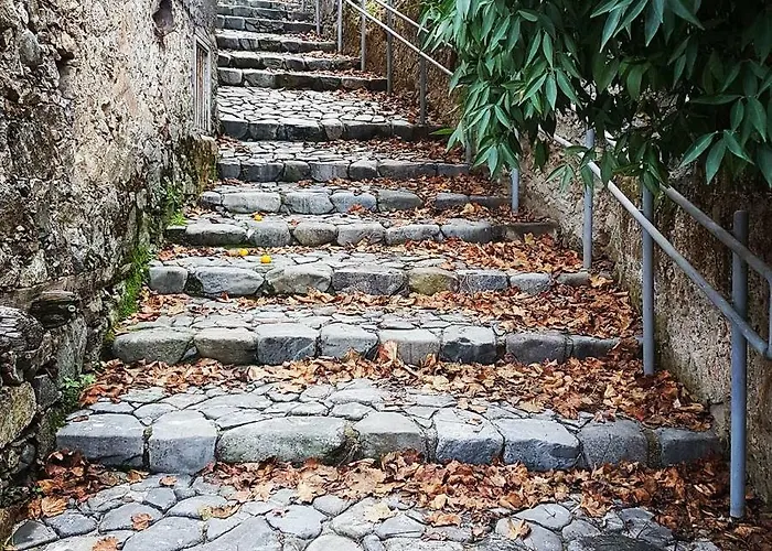 Gold Mountain House *