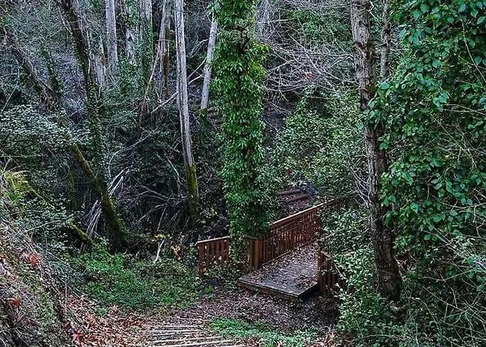 Σπίτι διακοπών Gold Mountain House *